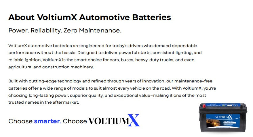 VoltiumX 12V 100ah LiFePO4 Battery for Camping RV