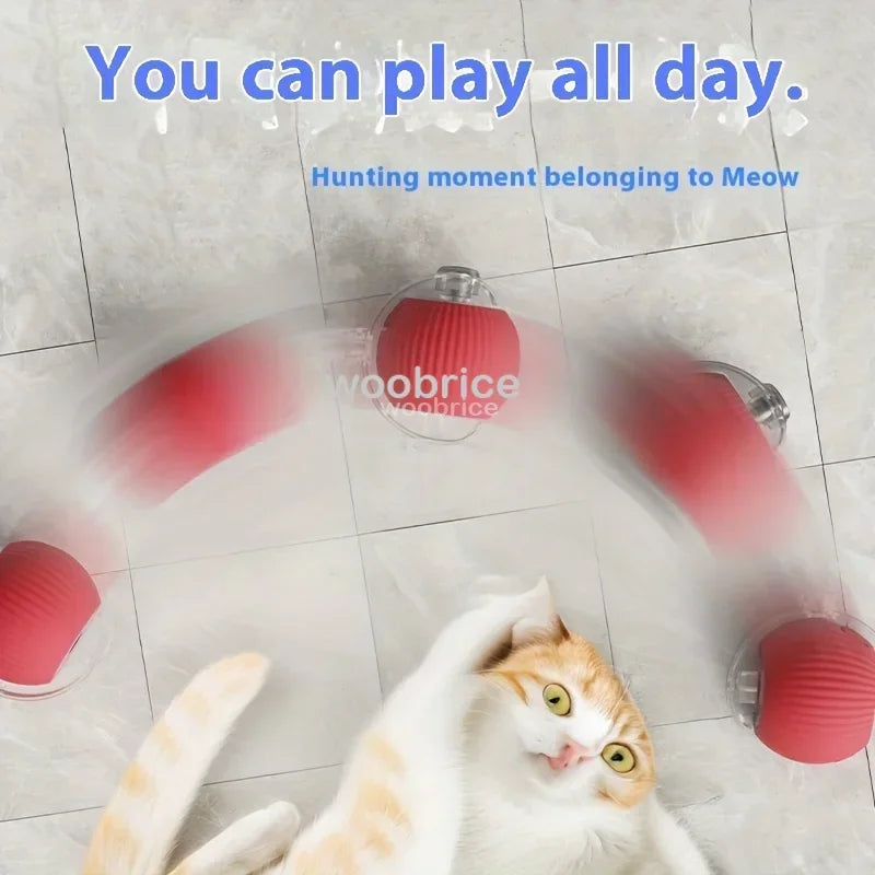 Best Seller - Cat Powerball Toy and Mouse Toy