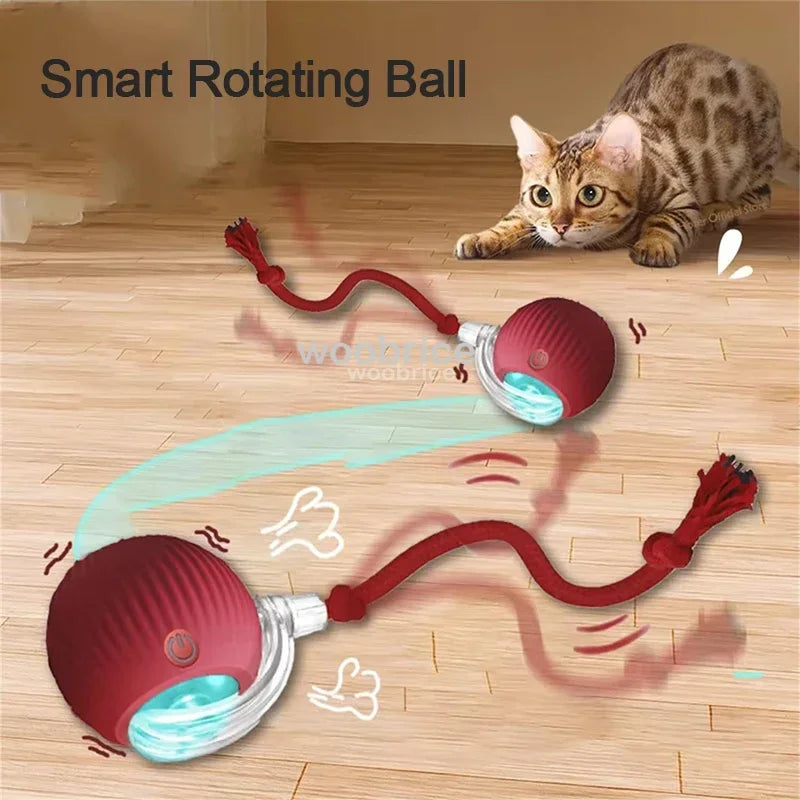 Best Seller - Cat Powerball Toy and Mouse Toy