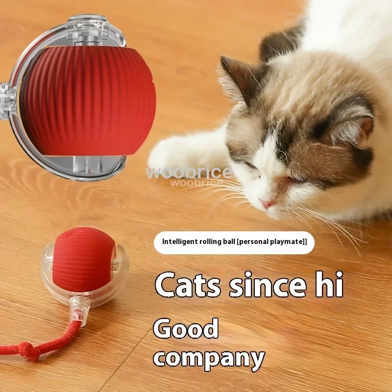 Best Seller - Cat Powerball Toy and Mouse Toy